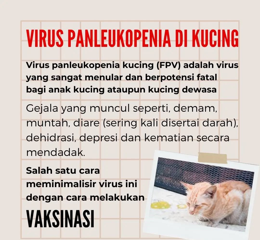 Panleukopenia